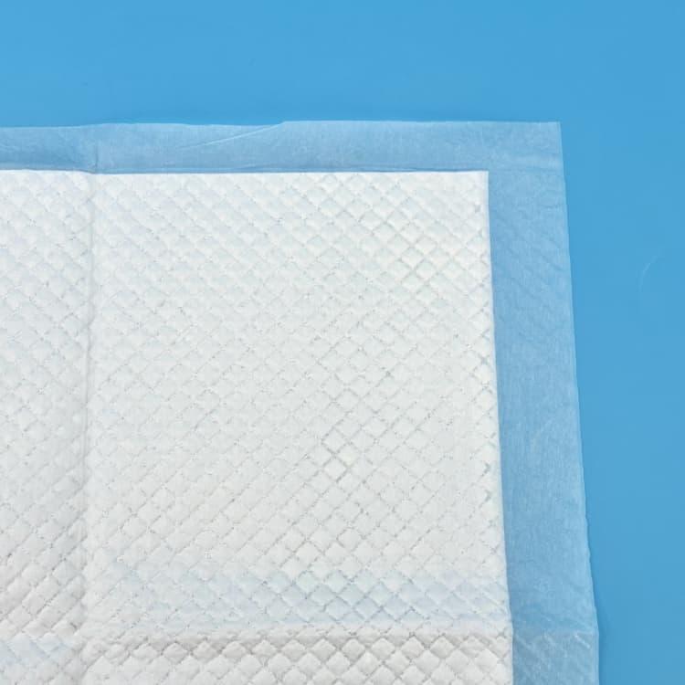 Disposable Pad