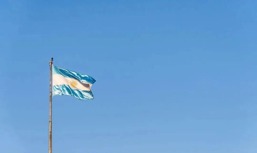 Argentina Diaper Market 2025: Imports and Outlook