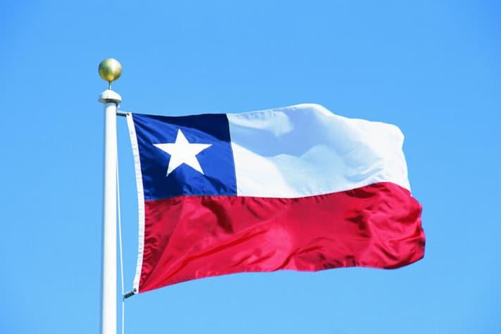 Supplying High-Quality Fluff Pulp for Diaper Production in Chile