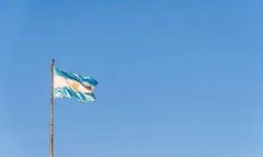 Argentina Diaper Market 2025: Imports and Outlook